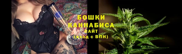 шишки Алзамай