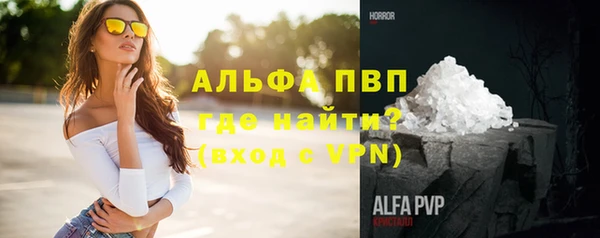 шишки Алзамай