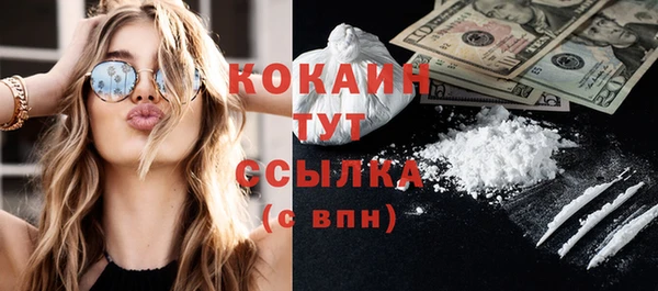 шишки Алзамай