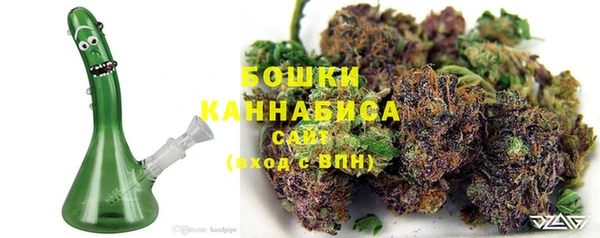 шишки Алзамай